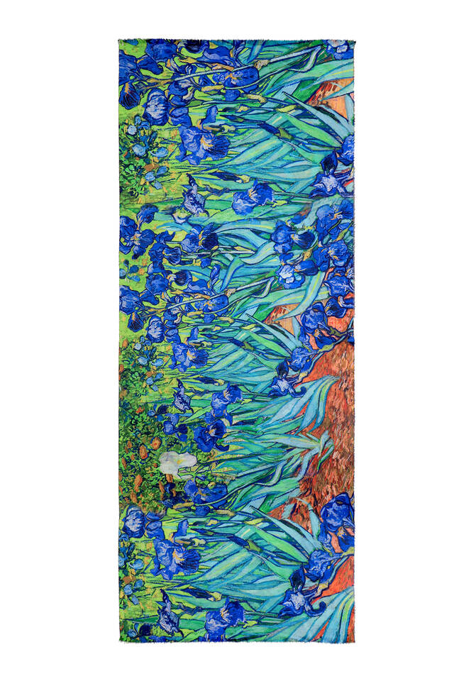 القزحيات الخضراء نمط الشتاء شال - 4