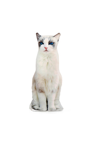 Beyaz Kedi Desen Dekoratif Yastık - Thumbnail