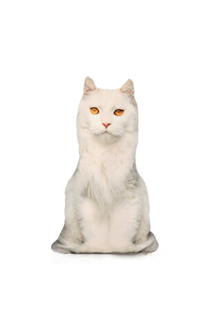Beyaz Kedi Desen Dekoratif Yastık - Thumbnail