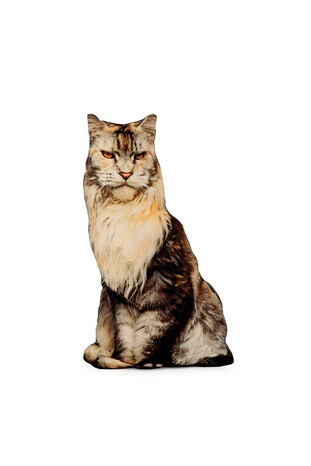 Black Cat Pattern Decorative Pillow 