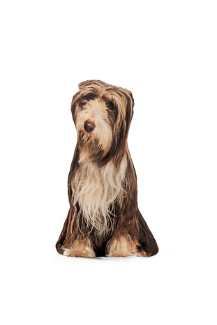 Black Dog Pattern Decorative Pillow 