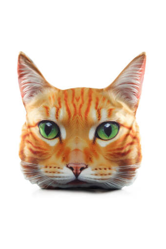 Orange Cat Pattern Decorative Pillow 