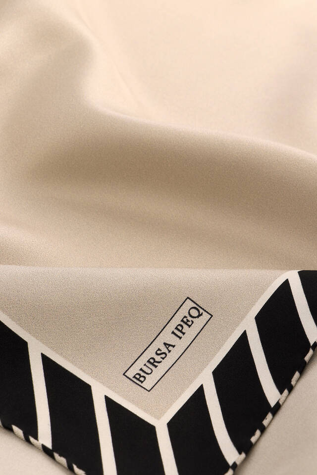 Taş Çizgi Desen Twill İpek Eşarp - 3