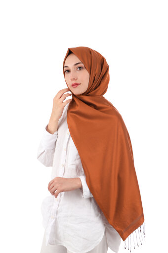 Cinnamon Brown Reversible Silk Shawl 