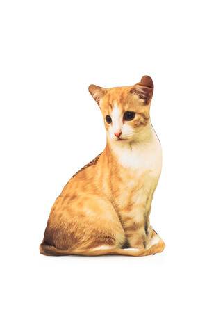 Sarı Kedi Desen Dekoratif Yastık - Thumbnail