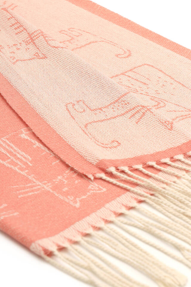 Somon Kedi Desen Kışlık Şal - 4